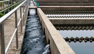 Subscribe Placeholder