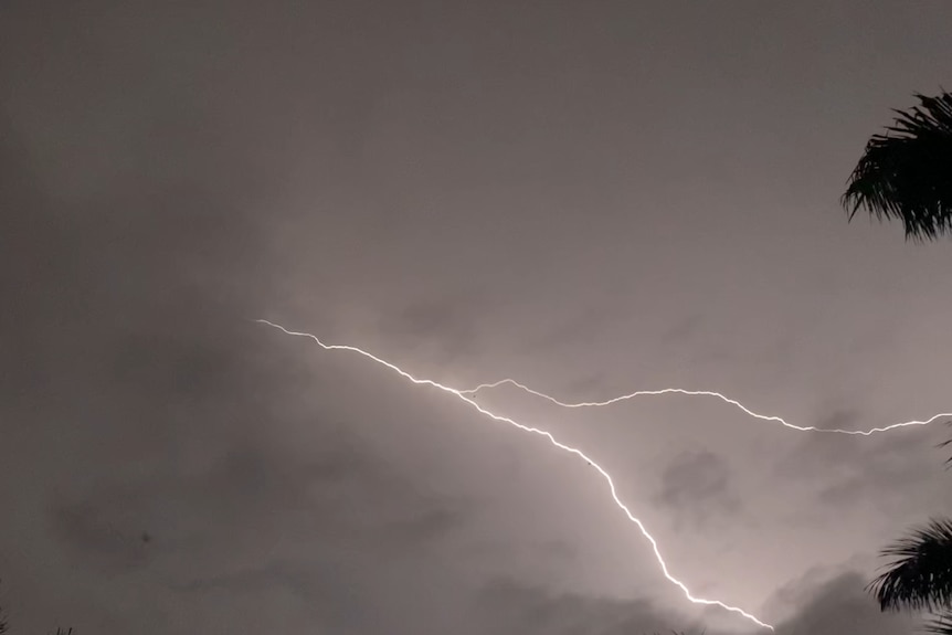 A bright lightning strike in a cloudy sky with the black silhouette of palms