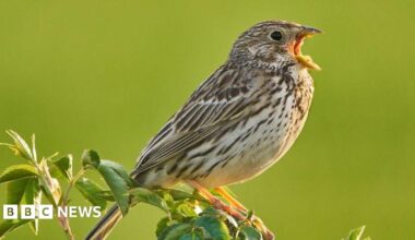 A woman with brown hair, green suit jacket and pink shirt smiles while standing next to a man with grey hair and glasses, wearing a navy suit, white shirt and pink tie.