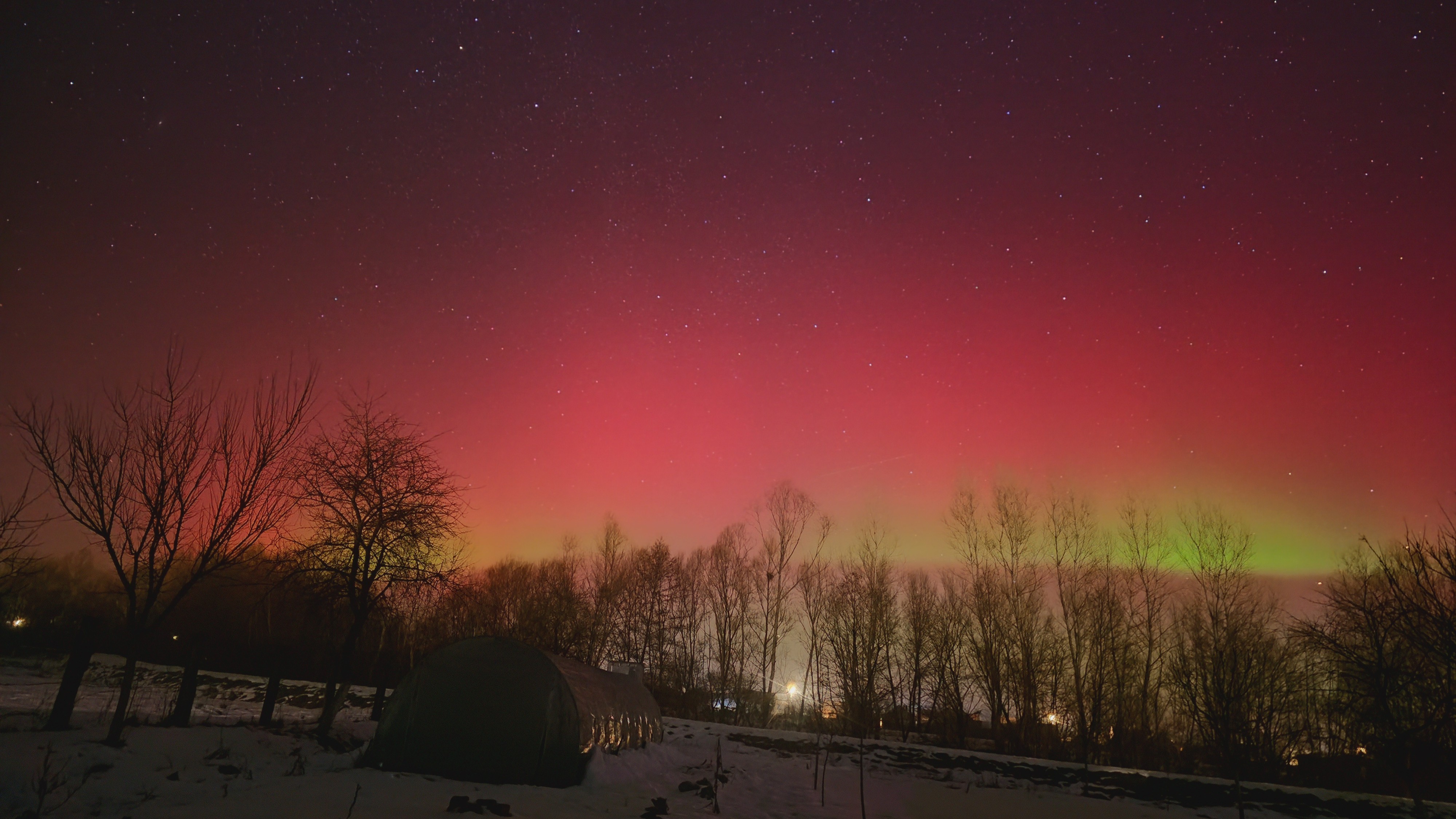 red aurora fills the sky above trees and a green glow is visible lower on the horizon.