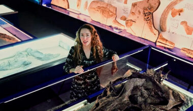 New film about Kimmeridge’s Jurassic monster to be shown in Swanage – Swanage News