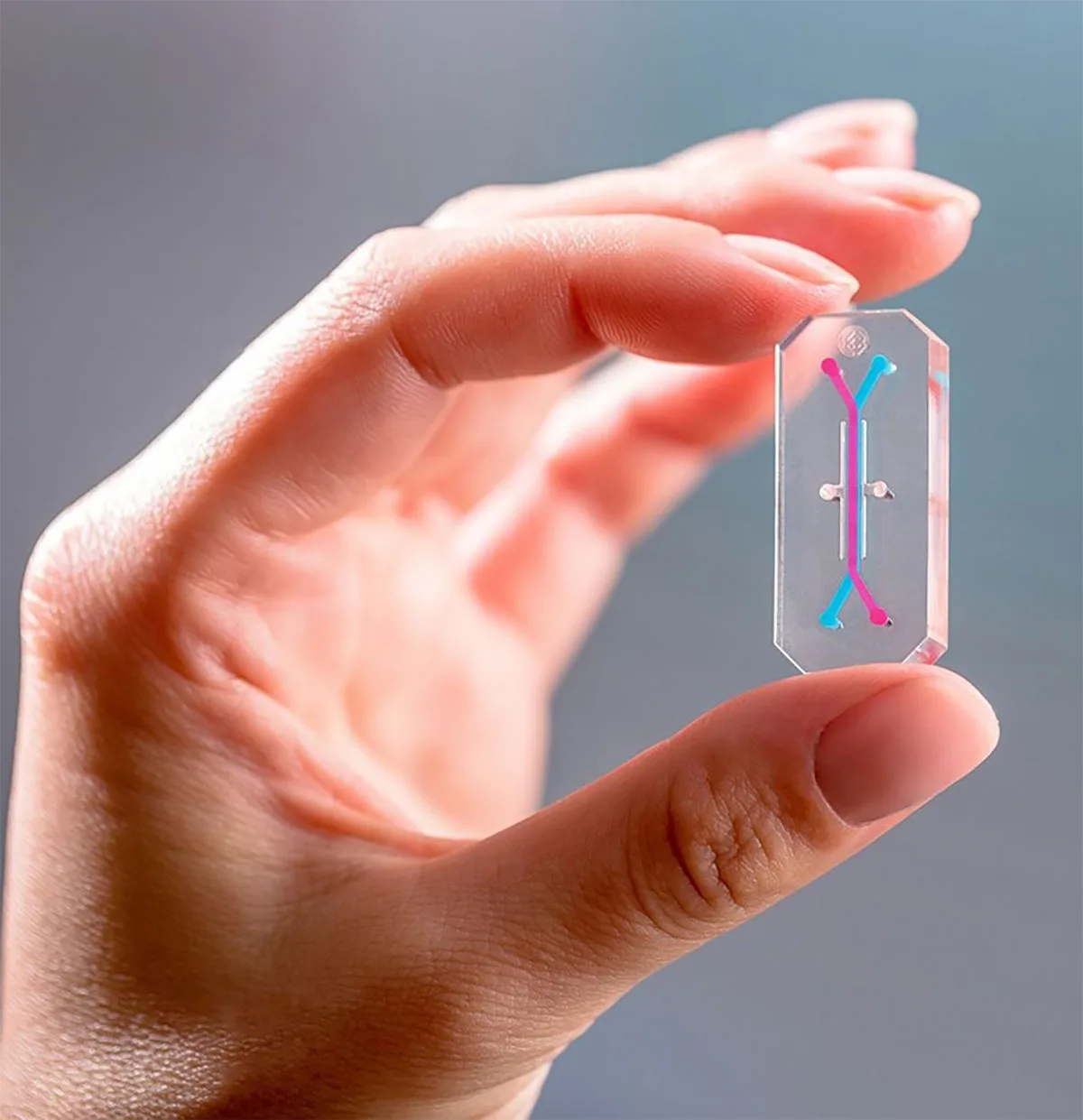 An organ chip like the ones that will be used during the AVATAR experiment on Artemis II. Credit: Emulate