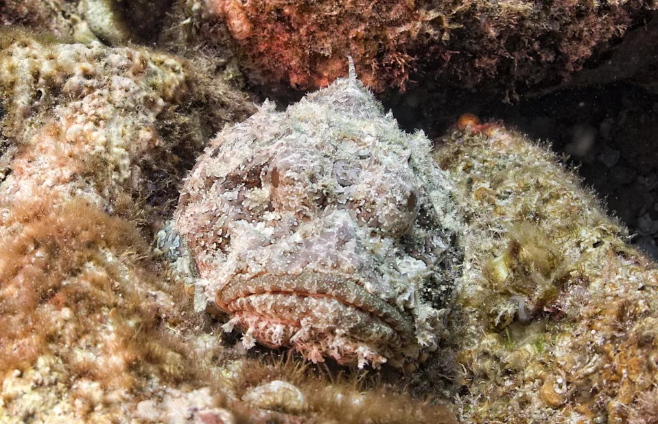 <p>Andrea Izzotti/Shutterstock</p>