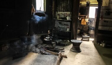 Indoor air pollution is a global health issue, not just a domestic heating one