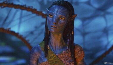 Avatar: Fire And Ash leads North American box office for fourth week