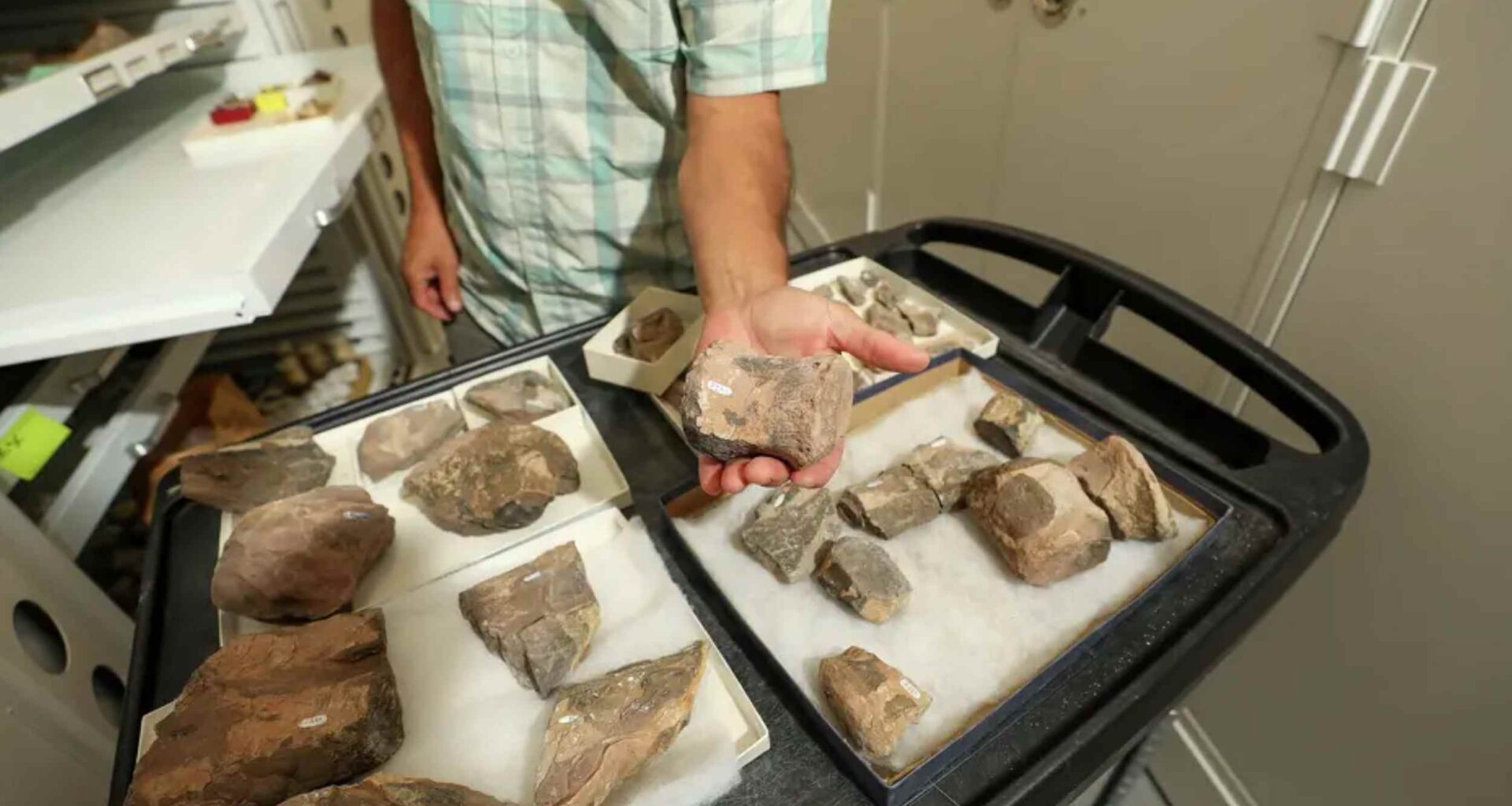 Rare fossil rewrites the story of early dinosaurs in the Southwest