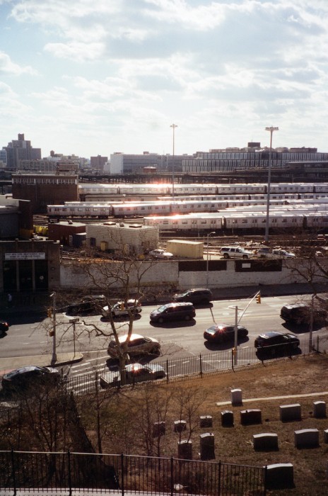 gina_torchia_03 - Gina Torchia