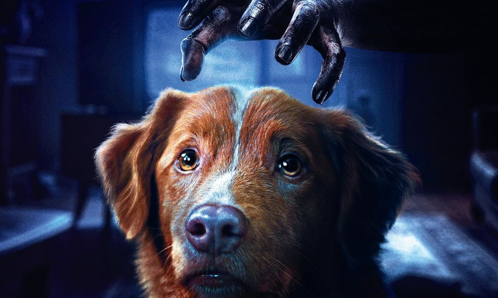 'Good Boy' Takes a Bite Out of Blu-ray in March
