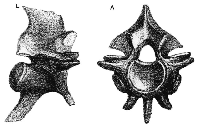 Greece prehistoric snake