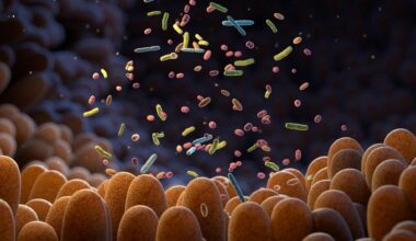 Gut Microbiome (illustrative Image)