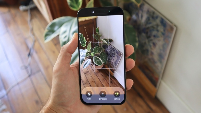 An iPhone 16 Pro Max displaying Action Mode video recording, with a plant and a frame in the display