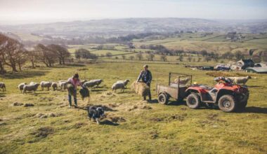 Savills Blog | How UK farming will grow resilience