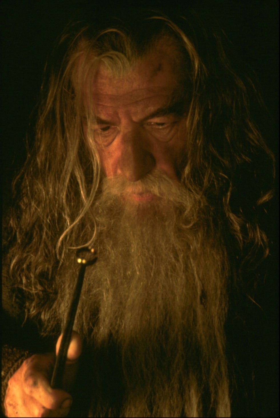 ian mckellen as gandalf, lord of the rings the fellowship of the ring