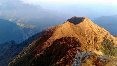 In a 1st in 4 decades, peaks in Garhwal Himalayas remain snowless in Jan, affect growth of medicinal plants