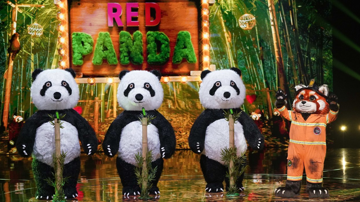 ITV The Masked Singer: Red Panda