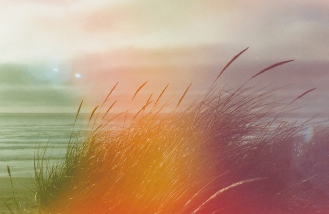 jasmine.swisherbeach - Jasmine Swisher