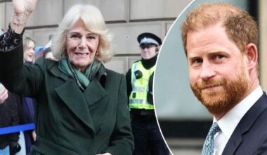 Queen Camilla delivers important message as Harry wraps first day in court