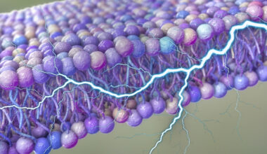 A Hidden Source of Power May Have Been Discovered Surrounding Our Cells : ScienceAlert