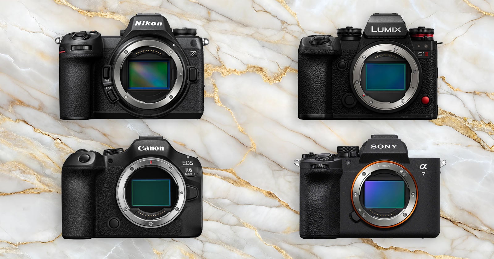 Four mirrorless camera bodies from Nikon, Lumix, Canon, and Sony are arranged in a grid on a marble background, each showing their lens mounts and sensors.