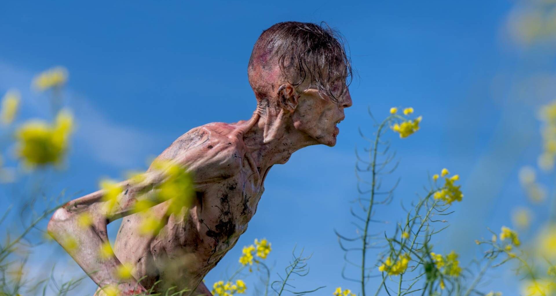 An Infected in 28 Years Later