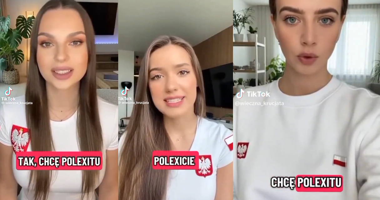 Poland calls for EU action against AI-generated TikTok videos calling for “Polexit”