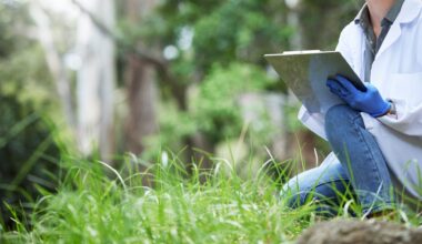 After a decade of research and breeding programs, the osprey population in Illinois has grown significantly.