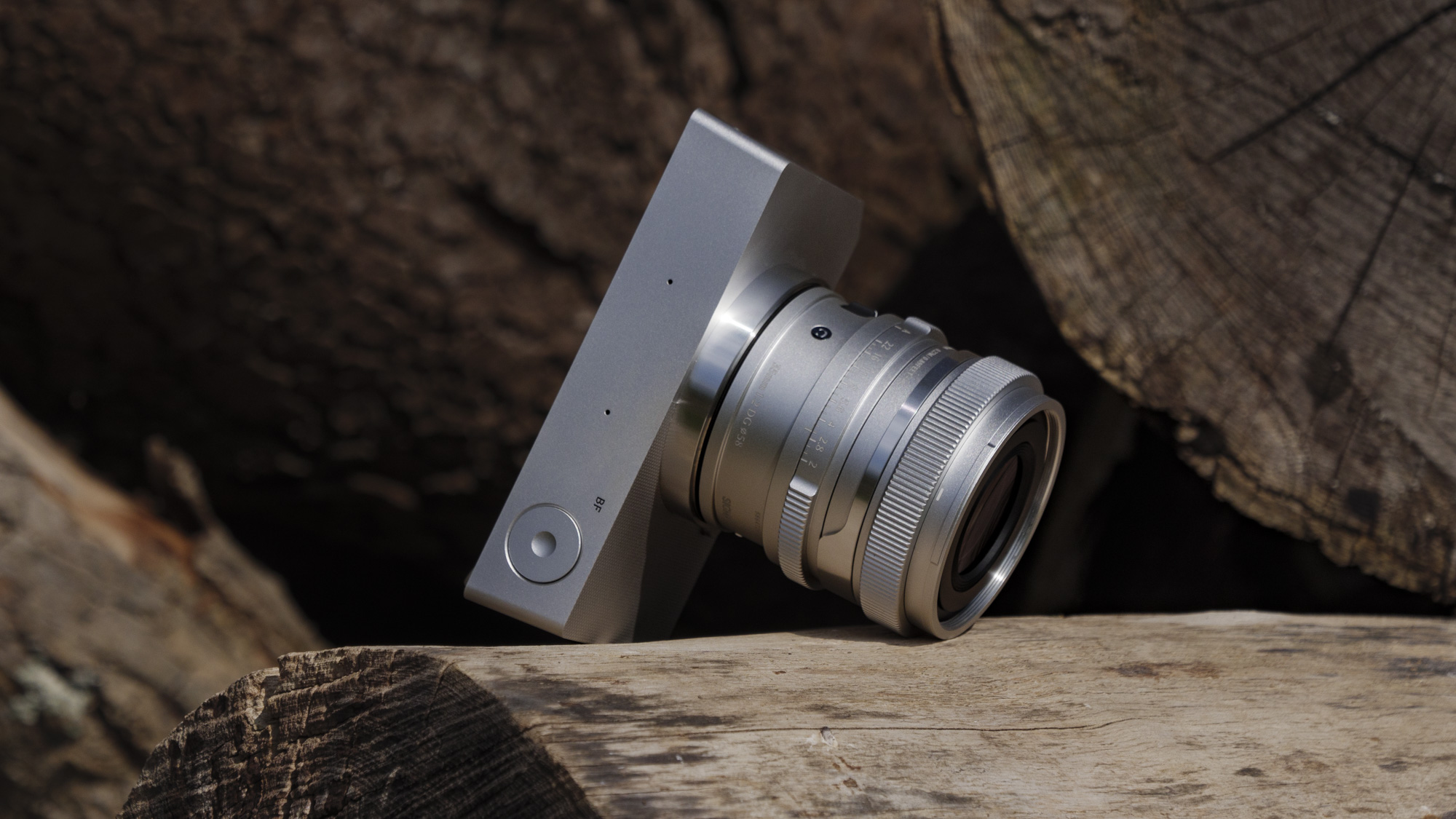 Silver Sigma BF camera with 35mm f/2 DG contemporary lens attached, on a large log