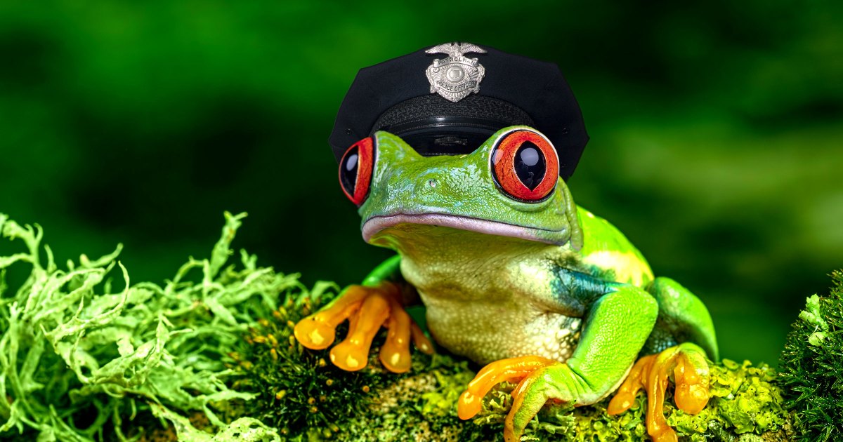 Cops Forced to Explain Why AI Generated Police Report Claimed Officer Transformed Into Frog
