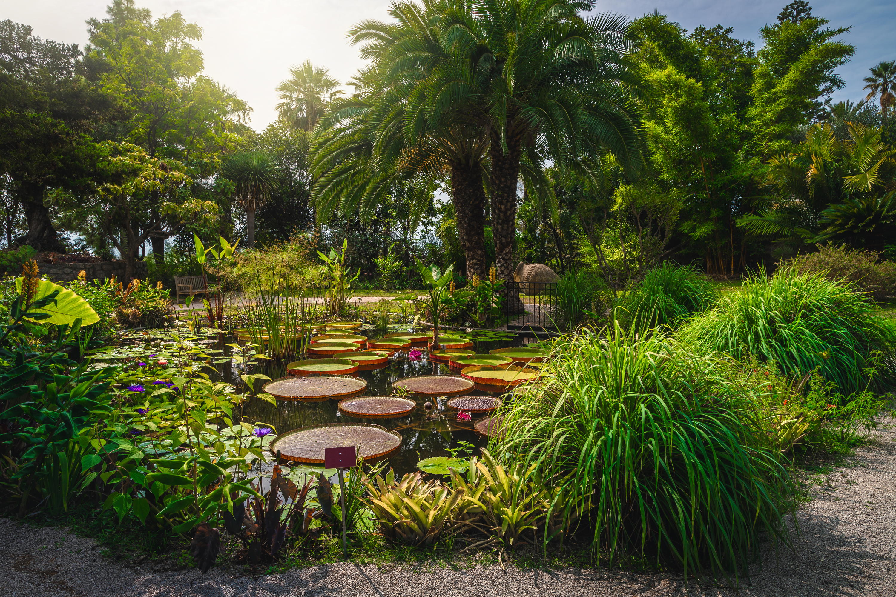 The botanical garden at Menton, Provence Alpes Cote d Azur, France.