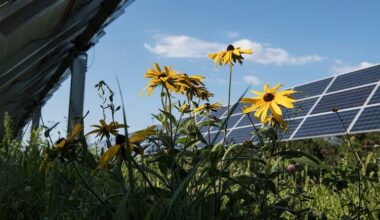 renewable energy solar NREL