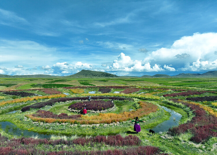 Revisiting 2025: 20 Classic Projects and Defining Stories in Architecture - Image 23 of 23