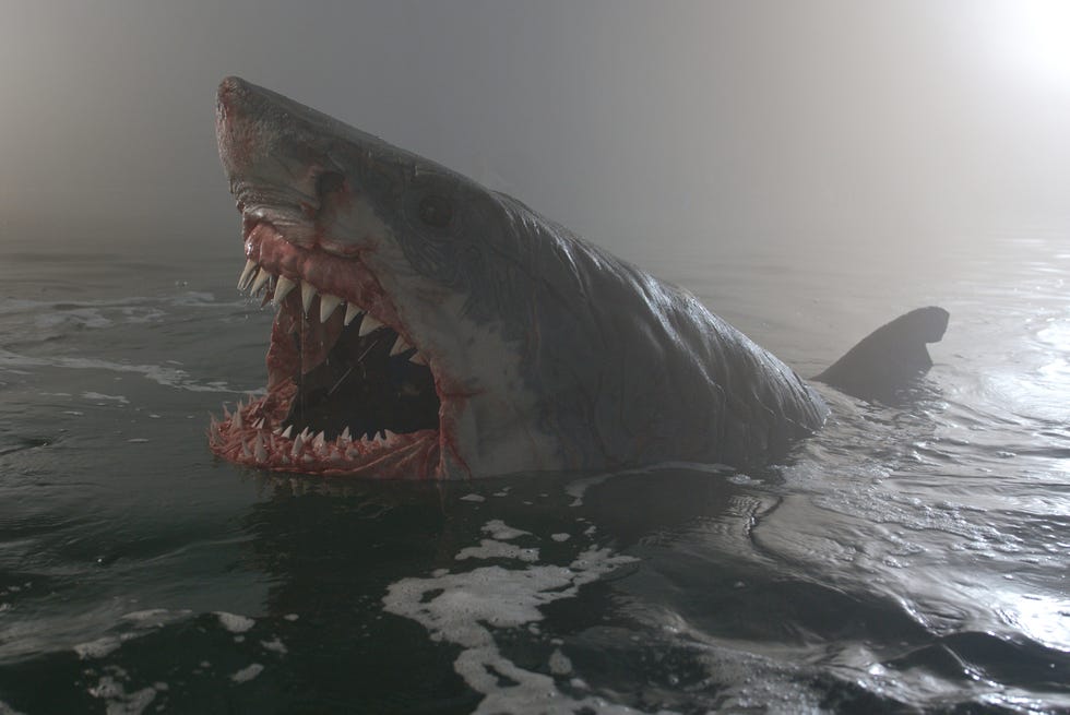 a large shark with its mouth wide open emerging from the water in beast of war