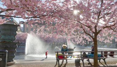 Microsoft Azure OpenAI Service goes down in Sweden • The Register