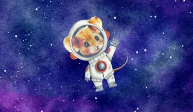 China's Astronaut Mouse Delivers Nine Pups A Month After Return To Earth