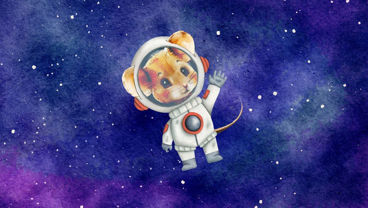 China's Astronaut Mouse Delivers Nine Pups A Month After Return To Earth