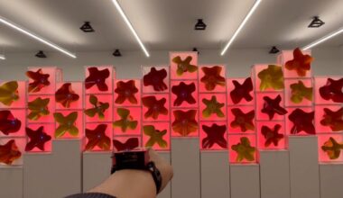 The wearable device interactions. Responses of the Swarm Garden from certain interactions involving arm movement caused by users equipped with the wearable device.