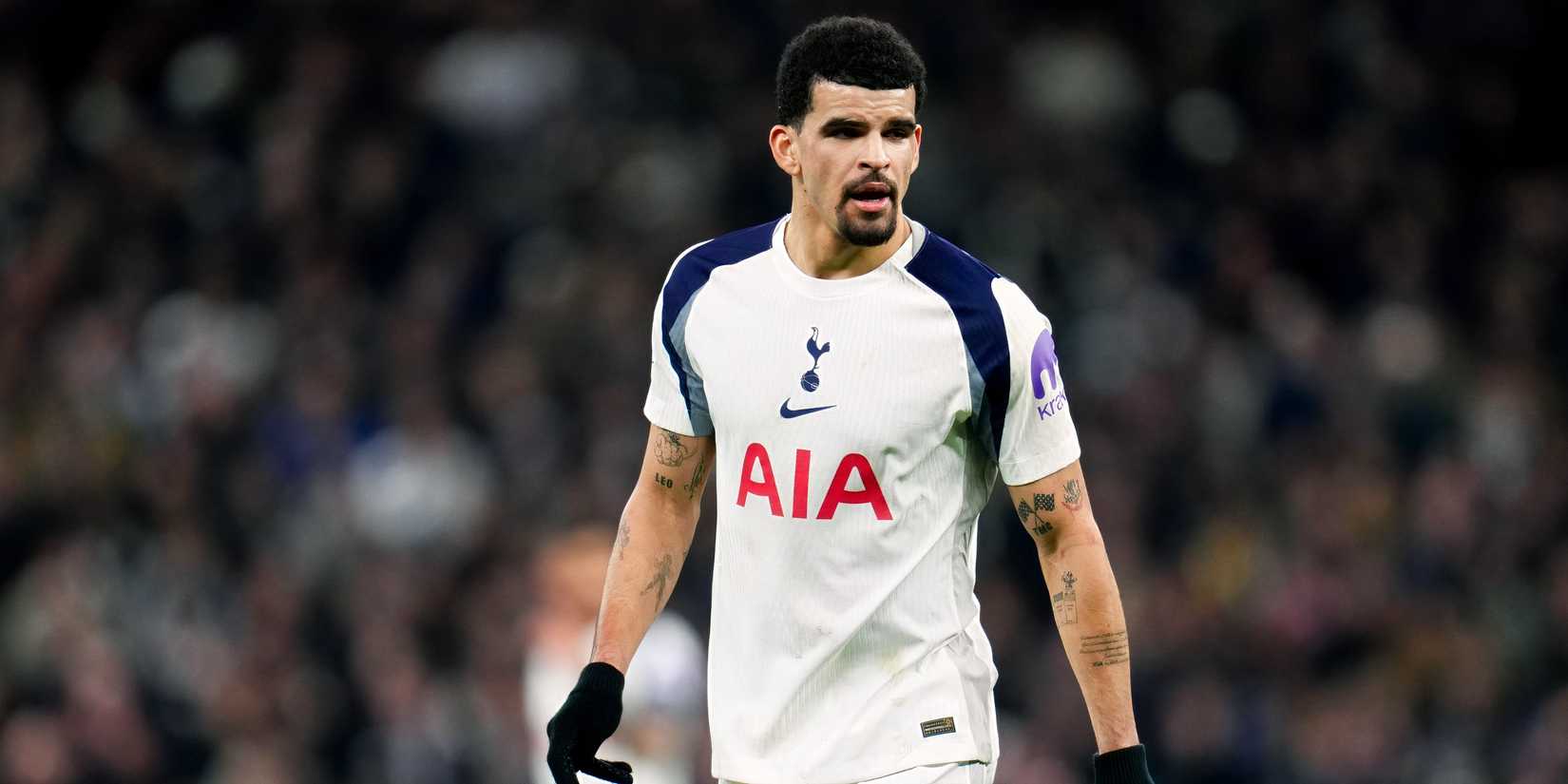 Tottenham striker Dominic Solanke