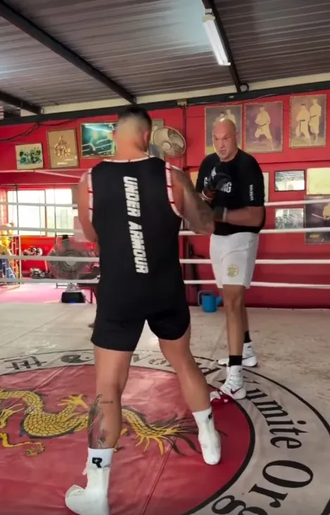 Fury had a move around with Lerena in Thailand