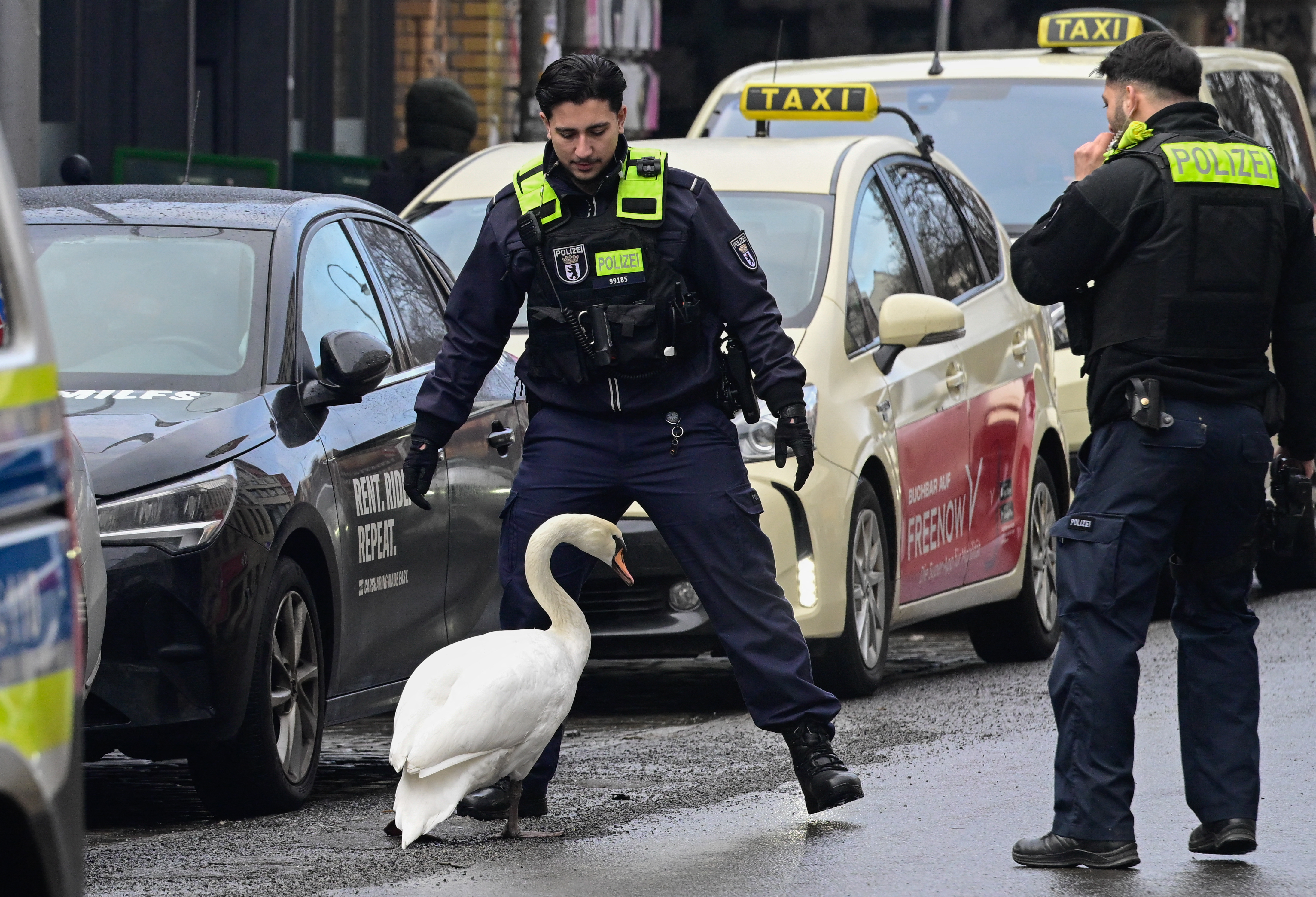 TOPSHOT-GERMANY-ANIMAL-POLICE-FEATURE