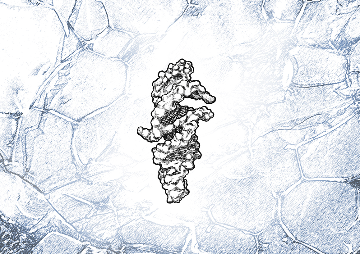 Illustration of QT45 ribozyme in a frozen environment, based on AlphaFold3 prediction.