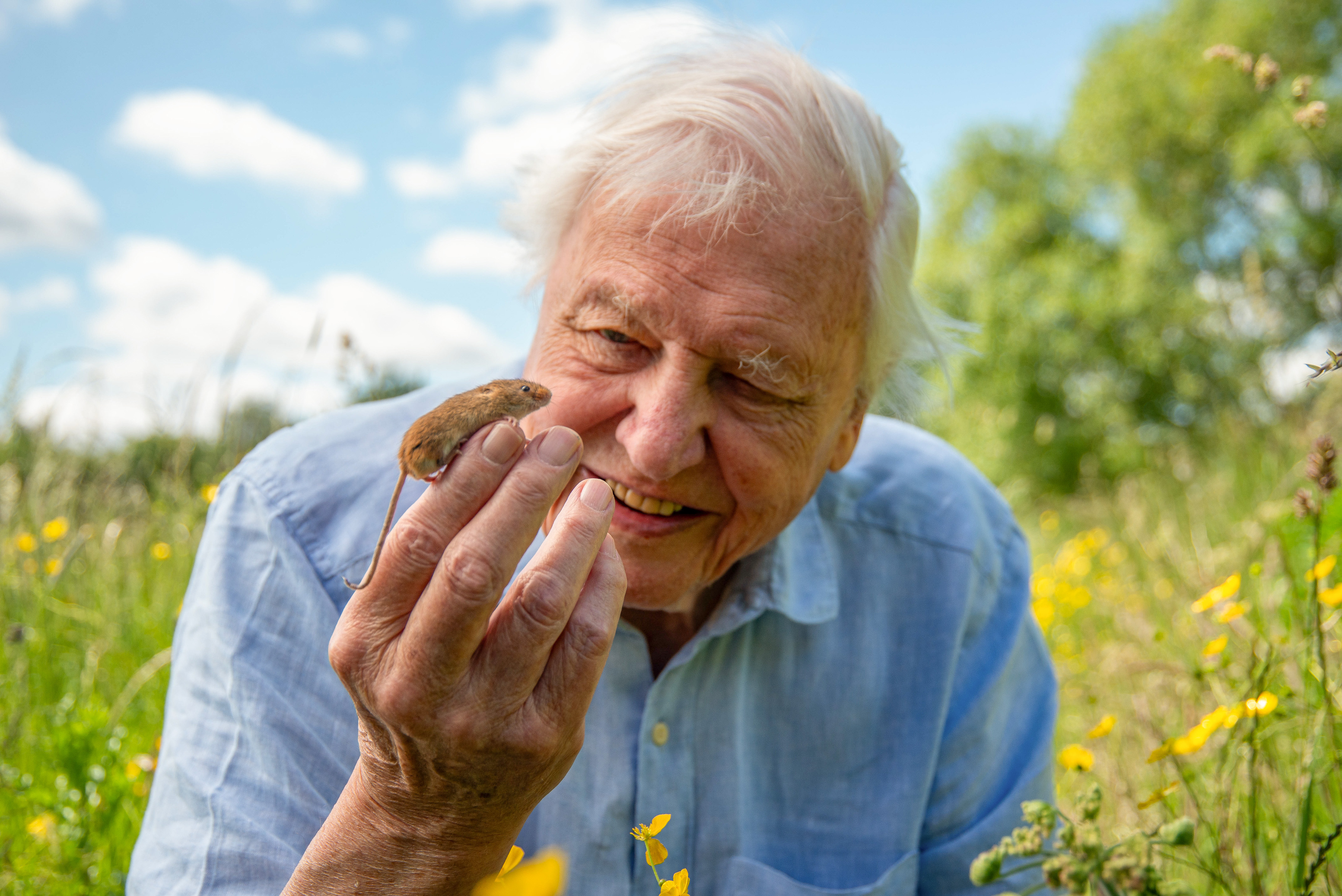 Sir David Attenborough with a harvest mouse.