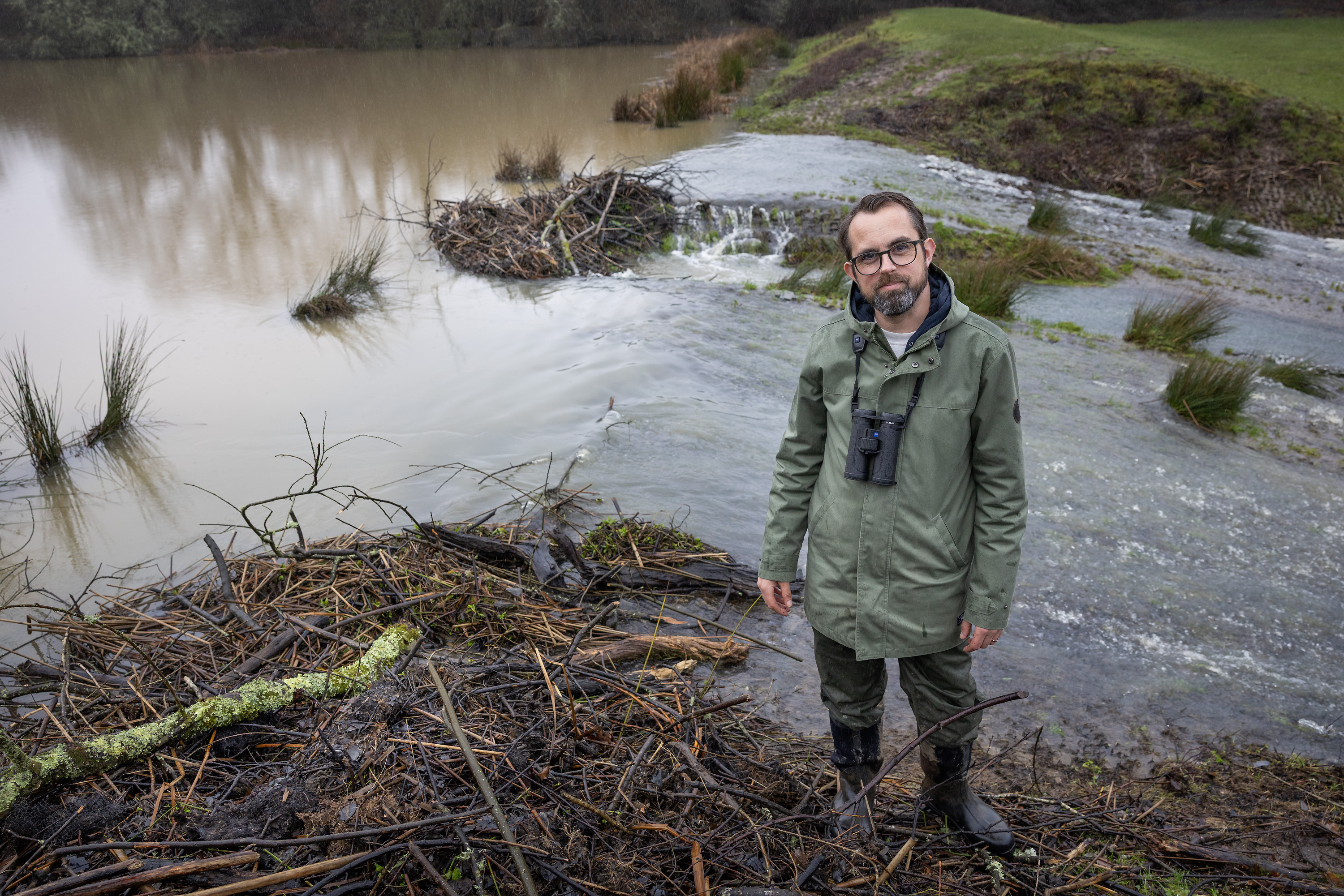 Matt Phelps, Lead Ecologist, stands near a beaver dam on Hammer Pond.