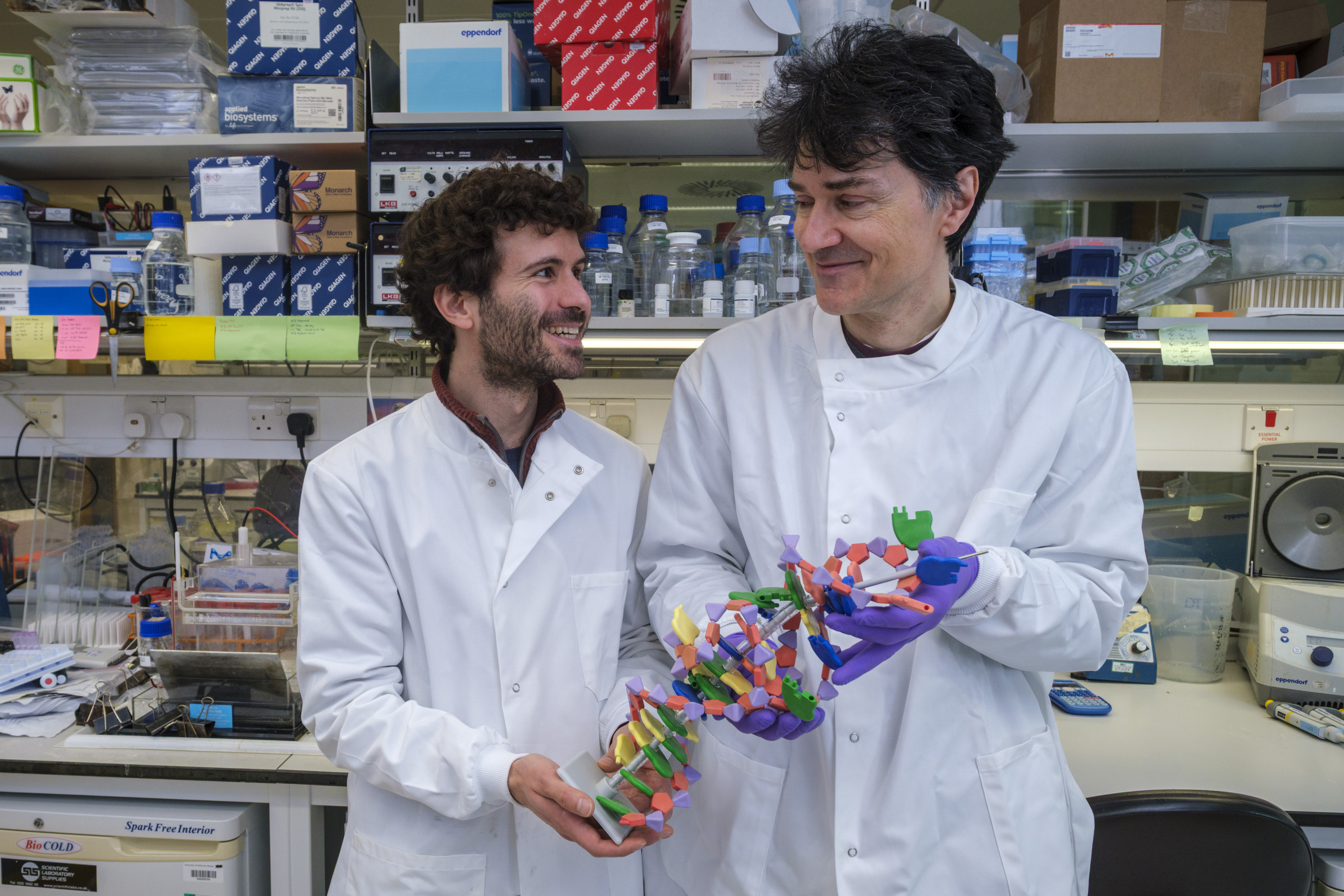 Two scientists, Edoardo Gianni and Philipp Holliger, in lab coats smiling and holding a colorful model of the QT45 RNA molecule.