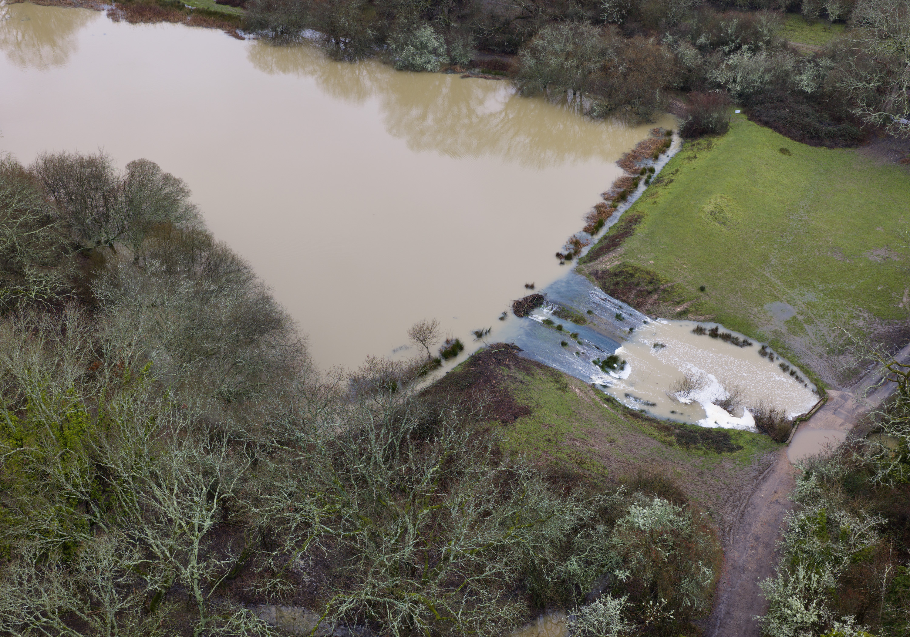 Water backed up on Hammer Pond after beavers built a dam at The Knepp Estate.