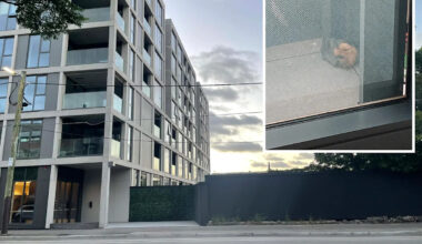 Sad discovery on apartment balcony highlights 'depressing' trend across Australia