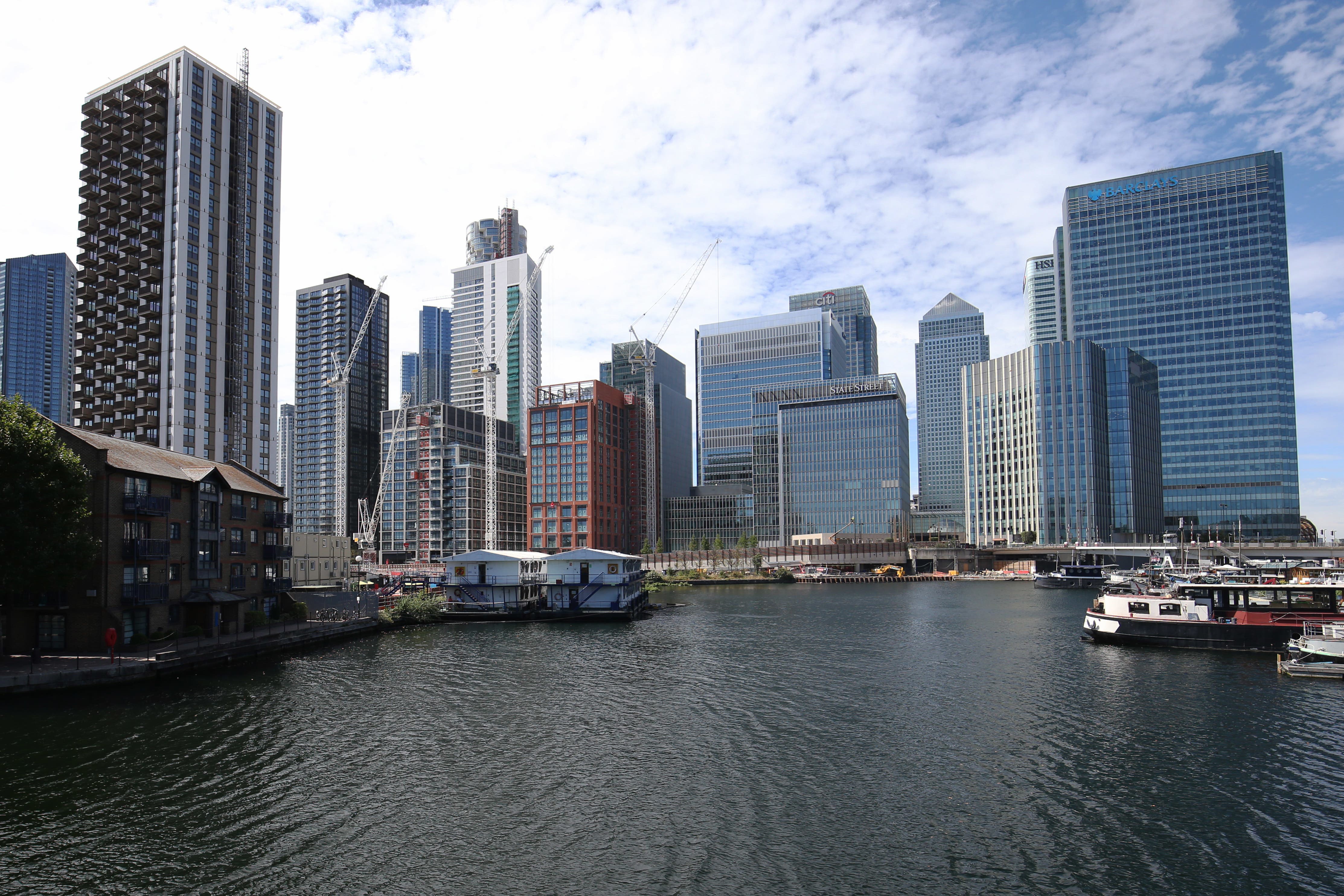 Dead swans were reported around West India and Millwall Dock waterways near Canary Wharf