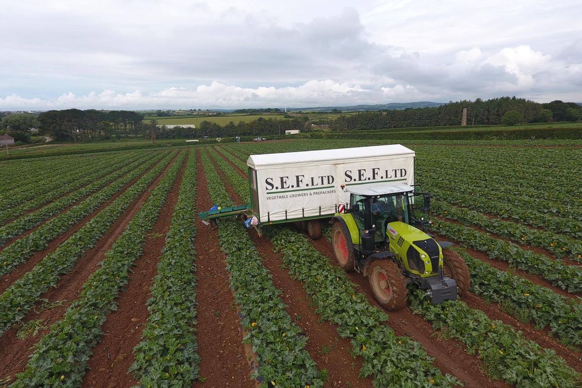 File picture of a Southern England Farms tractor in a field 