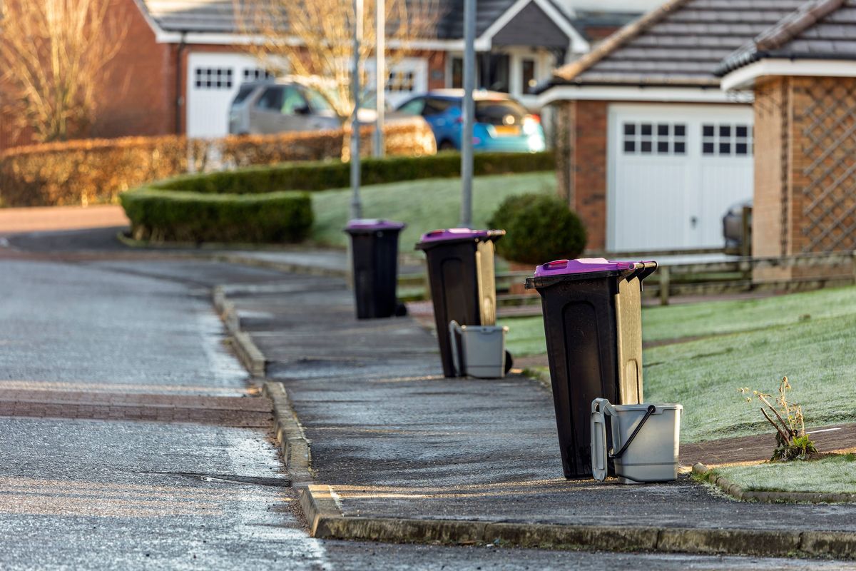 Black Waste Recycling Wheelie Bins with Purple Lids and Food Waste Buckets in a Row on Sidewalk in Front of Suburban Houses