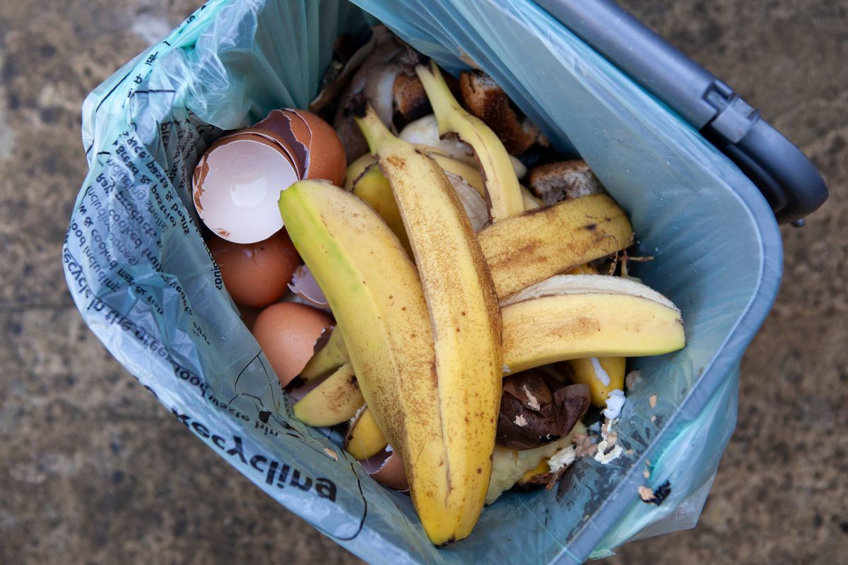 Opened food waste bin including egg shells and banana skins viewed from above