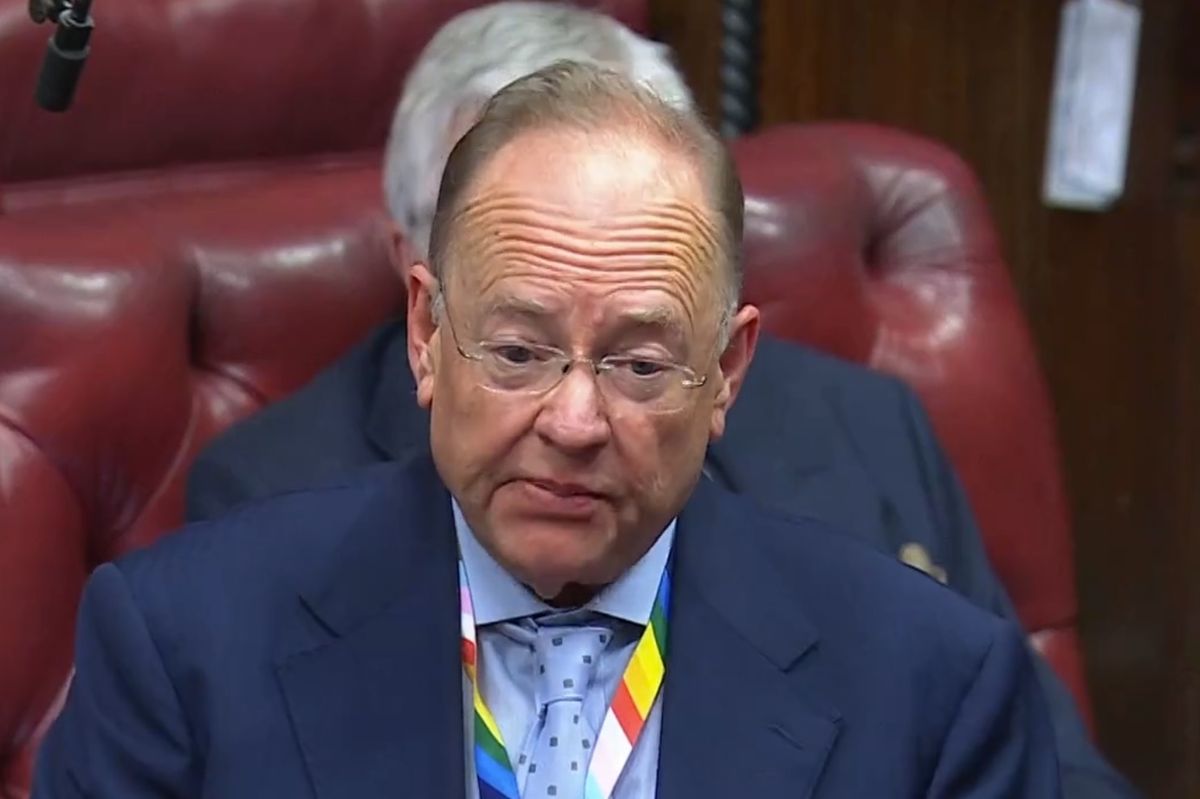 Lord Chris Rennard speaking in the House of Lords